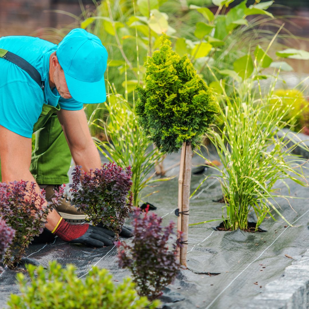 Garden, Lawn & Pool Care